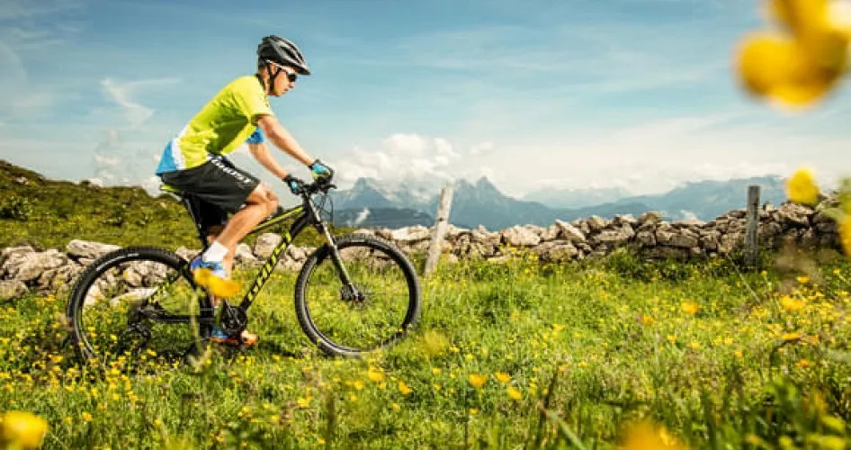 Mountainbike Mountainbike